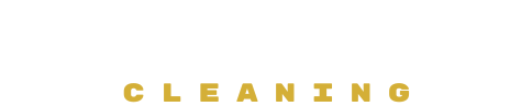 Biz Shine Cleaning Logo White